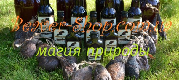 купить бобровую струю Киев